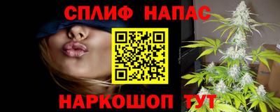 СК Пенза