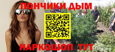 сатива Пушкино