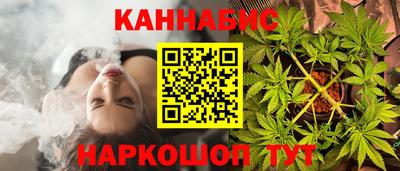 СК Пенза