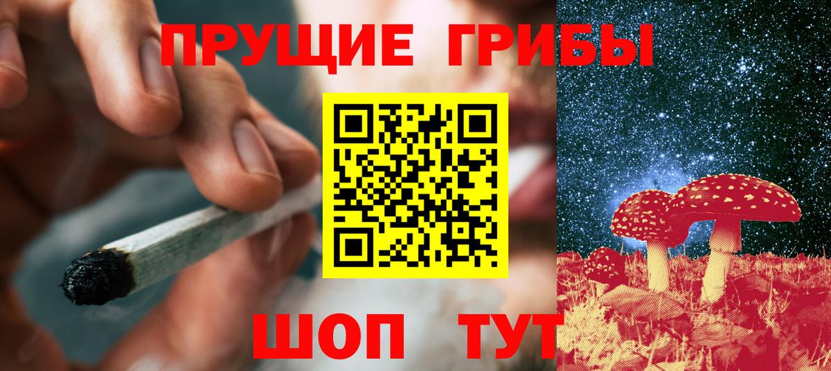 где купить   Вход с VPN  Татарск  Псилоцибиновые грибы Psilocybine cubensis 